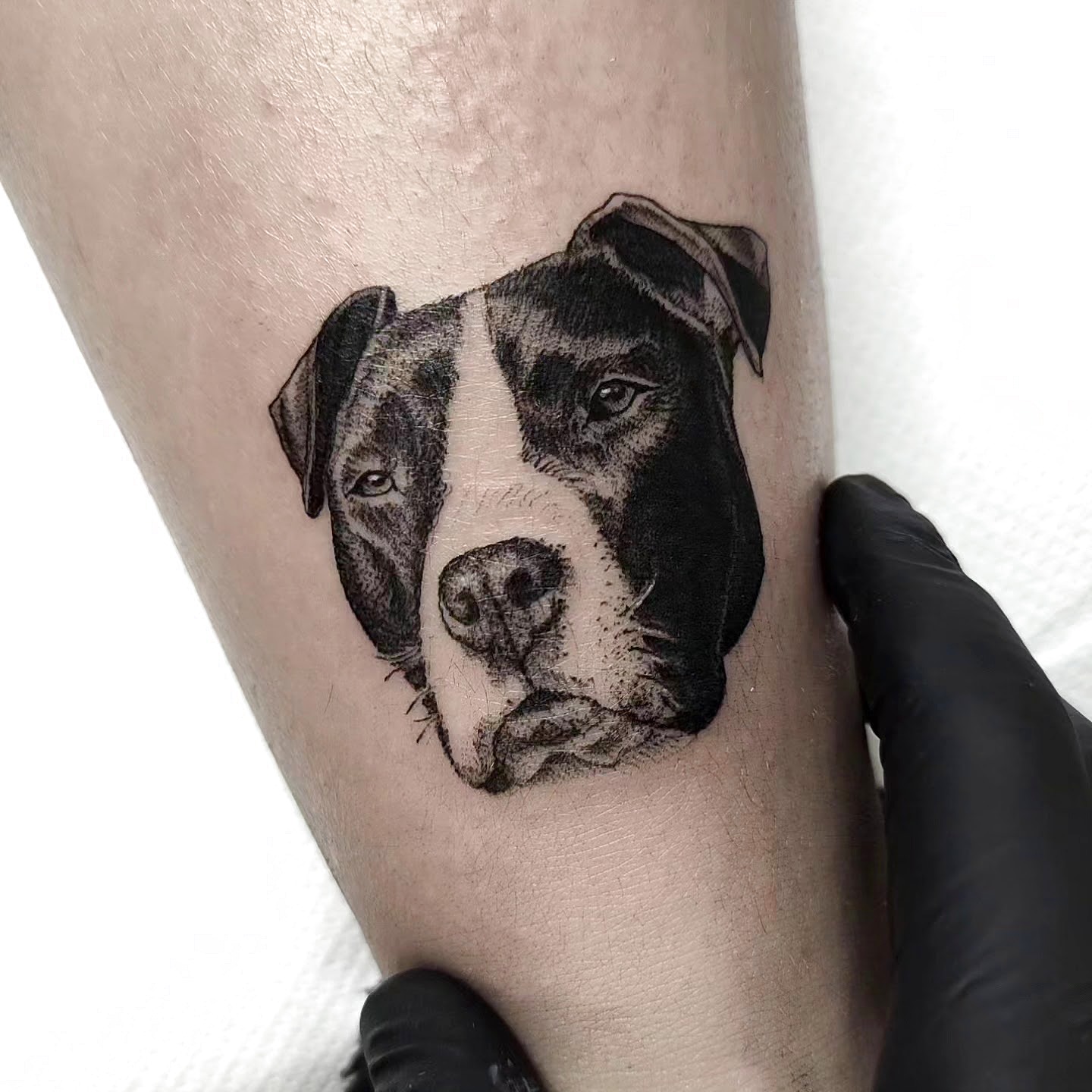 Tatuaggio Bumblebee